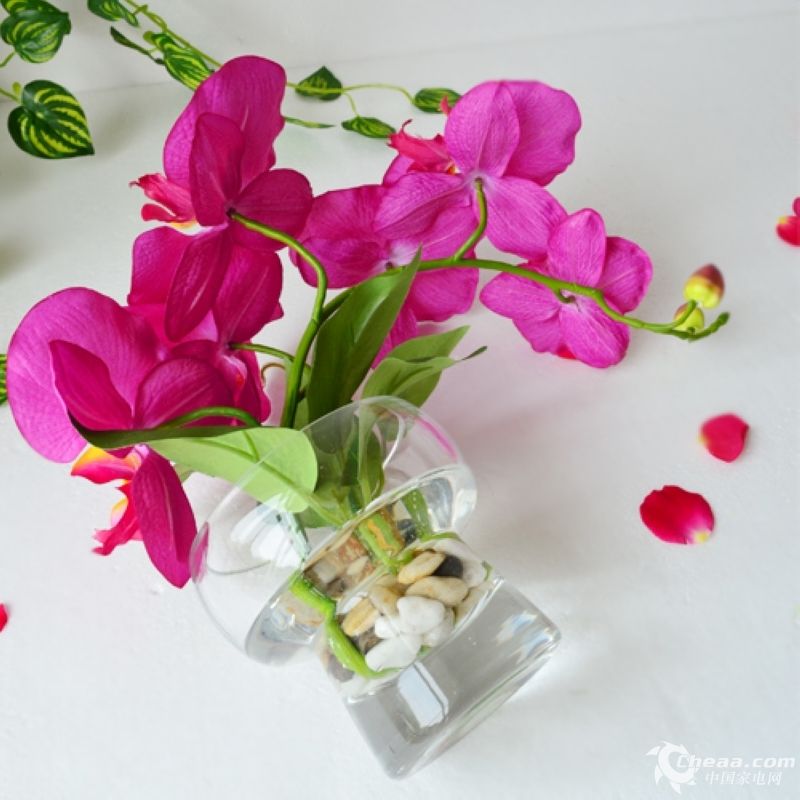 装饰花蝴蝶兰有红色和白色两种 ,个人比较喜欢红色,简单逼真也不容易