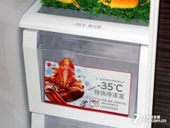 LG对开门 