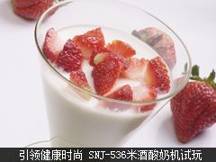 引领健康时尚 SNJ-536米酒酸奶机试玩