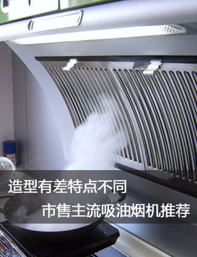 造型有差特点不同 