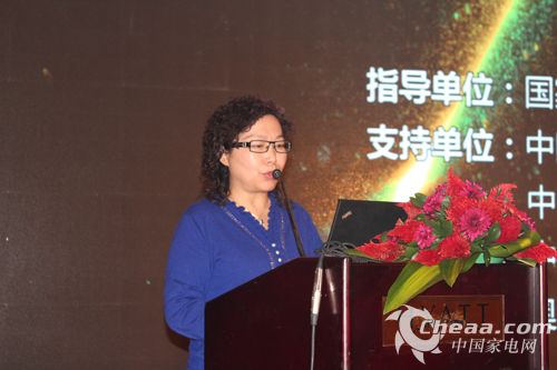 工信部运监局副局长高素梅