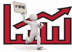 小家电行业前景光明，但市场格局或将发生改变（图）