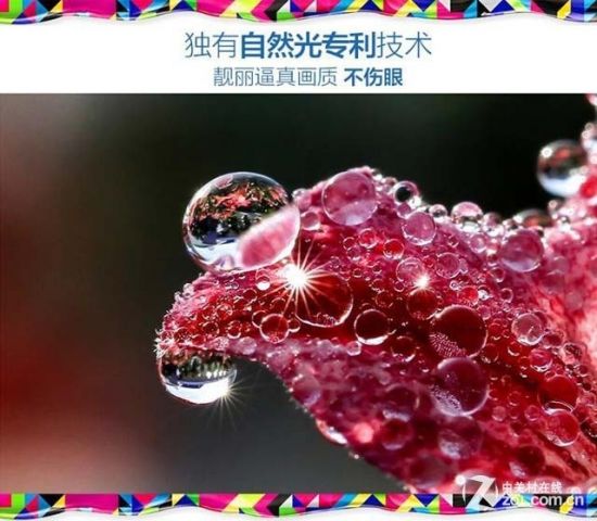 全高清足矣 五款50吋超值液晶电视推荐