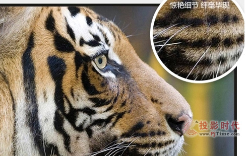 精装女人居家必备！六款主流4K电视推荐