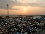 我国电子垃圾回收处理行业发展成效显著