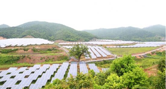 [浙江]太阳能光伏发电和农业种植相结合