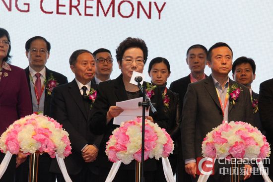中国家用电器协会理事长姜风在AWE2016开幕式致辞