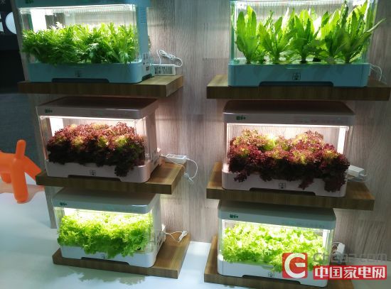 海尔“绿宝宝”产品