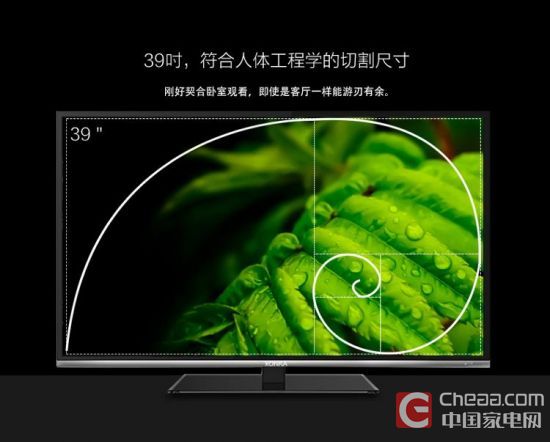客卧两用首选 五款经济实用电视推荐