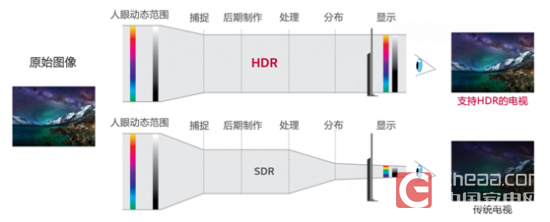 LG G6亮相TES生态峰会 OLED 电视生来不同