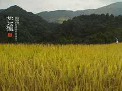 芒种临盛夏至 酷暑养生健康知识大搜罗