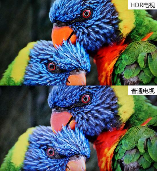 HDR电视该不该买？上车老司机带你遛一遛