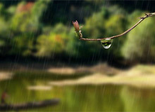 家中备一款空气净化器 轻松度过梅雨季