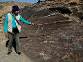 伊朗古老岩画或有四万年历史