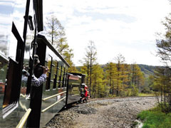 回家之路不再难熬 这些神器让你享受旅程