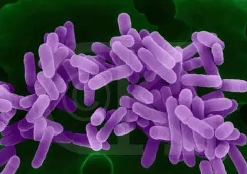 QQ��ͼ20170615100434