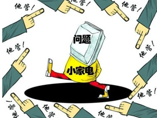 小家电“大”前景 行业发展之怪现状