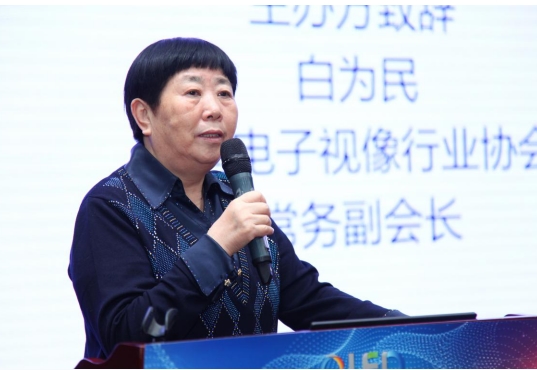 2017中国OLED显示产业链高层研讨会在京盛大召开