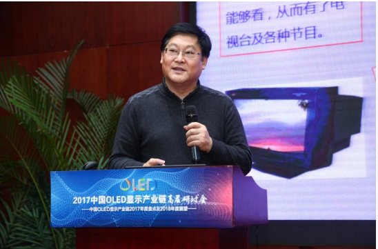 2017中国OLED显示产业链高层研讨会在京盛大召开