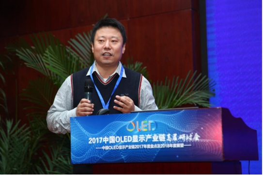 2017中国OLED显示产业链高层研讨会在京盛大召开