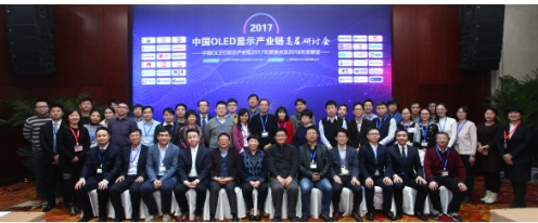 2017中国OLED显示产业链高层研讨会在京盛大召开