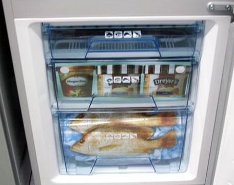 避免食材流失营养素 灵活使用冰箱冷冻室