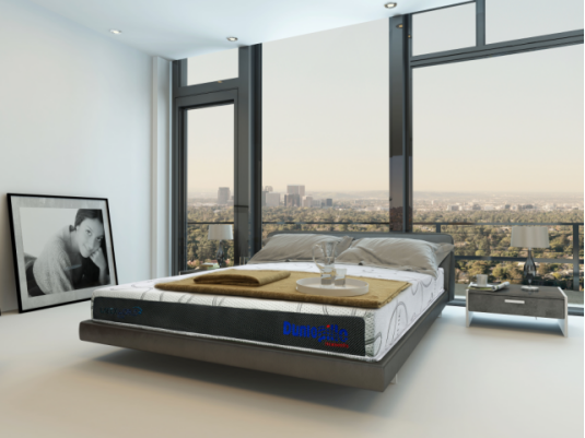 英国乳胶床垫鼻祖邓禄普 技术服务双重升级980