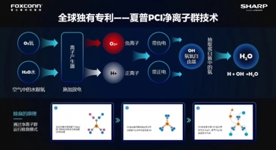 净离子群原理