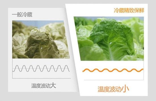 冰箱内部的温度波动直接影响食材的保鲜效果