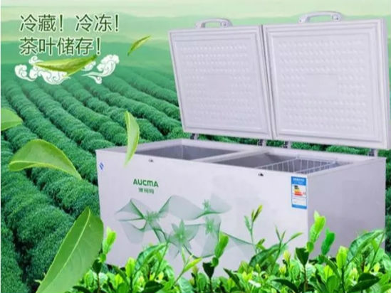 澳柯玛茶叶柜成茶农储存春茶好帮手