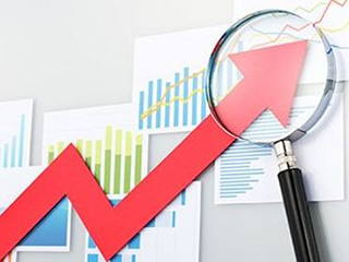 毛绒玩具利润率_人均净资产利润率(3)