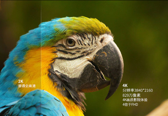 夏普澳门永利电视 满足您和家人的多种娱乐需求
