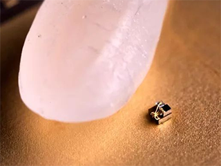 世界最小电脑和一粒米放在一起：画面叫绝
