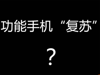 下功能机市场“复苏”的结论还为时尚早