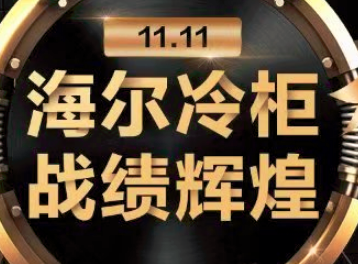 海尔冷柜双11推立式无霜 2秒抢占首单成黑马