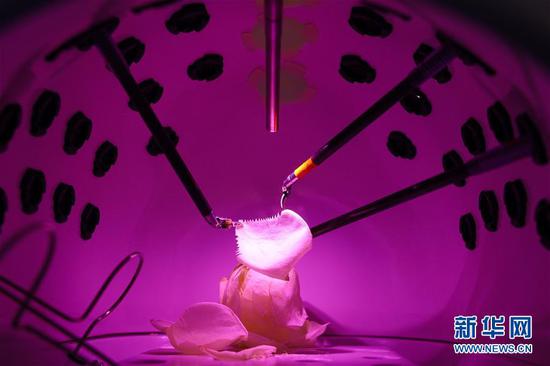 11月8日，在进博会医疗器械及医药保健展区，达芬奇Xi手术系统在演示切割花瓣。新华社记者 刘大伟 摄