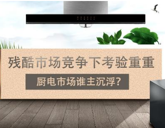 残酷市场竞争下考验重重 厨电市场谁主沉浮?