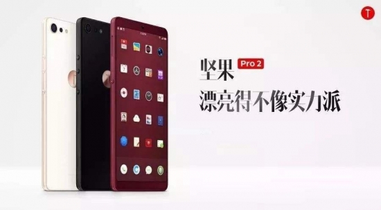锤子科技失败是罗永浩低估了网友的智商？
