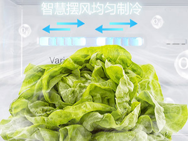 精品冰箱选择不愁 这些对开门冰箱为您领航