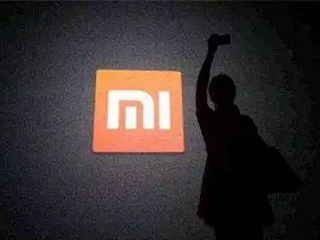 小米之痛 没有风口只有现实(系列报道)