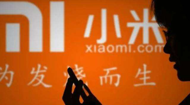 摄氏零度系列报道:小米之痛 没有风口只有现实