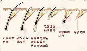 微信截图_20190605112221