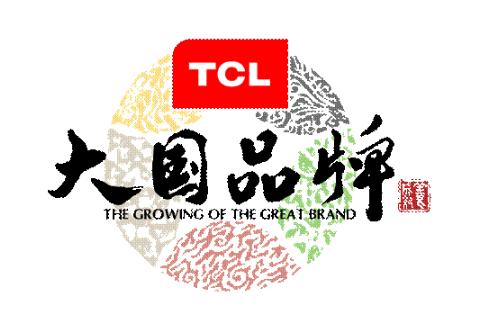 中高端用户眼中TCL冰洗:大牌 免污 极速锁鲜