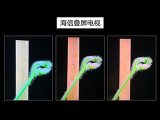看过叠屏电视后 这位中科院院士用两个字评价:震撼