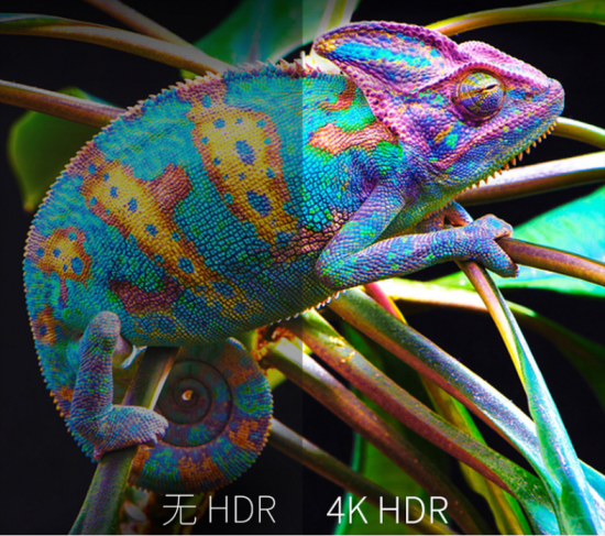 HDR10Dolby Vision(űӽ)HLGƽHDR׼ǰϳ֡