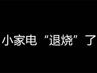 核心品类零售额同比下降,小家电“退烧”了?