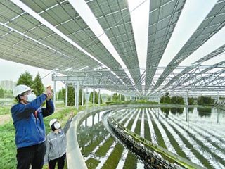 北京3座再生水厂可年发电2000万度 6.3万余块光伏板架上厂区