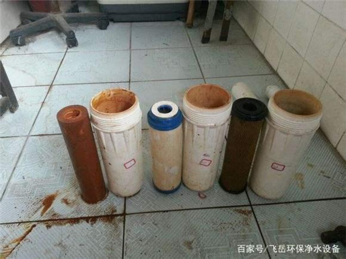滤芯