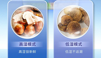 菌菇界唐僧肉，松茸保存试试这款澳柯玛冰箱