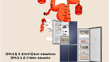 澳柯玛储鲜CP，冰箱+冷柜新鲜营养轻松储备